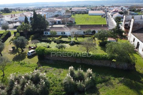 Farm hus i Constancia, Santarem, Constancia - € 450.000 | Ref: 057413 - foto 23