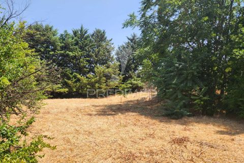 Farm hus i Elvas, Portalegre, Elvas - € 247.000 | Ref: 057433 - foto 6
