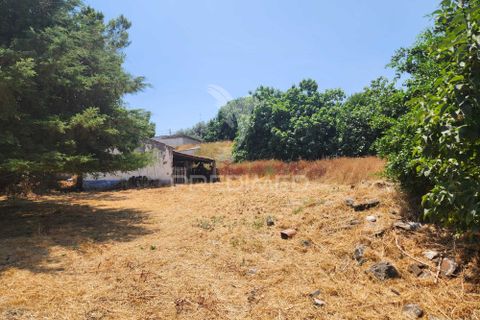 Farm hus i Elvas, Portalegre, Elvas - € 247.000 | Ref: 057433 - foto 7