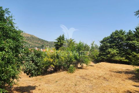 Farm hus i Elvas, Portalegre, Elvas - € 247.000 | Ref: 057433 - foto 8