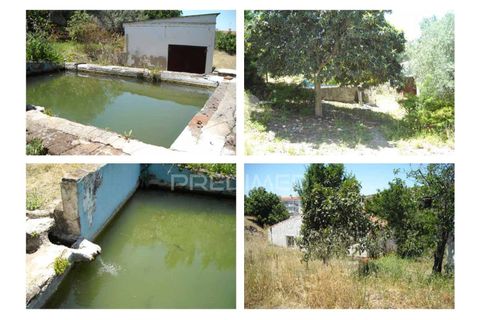 Farm hus i Elvas, Portalegre, Elvas - € 247.000 | Ref: 057433 - foto 27