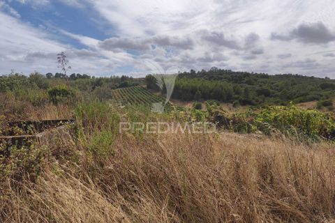 Helårsgrund i Alenquer, Lisbon, Alenquer - € 38.500 | Ref: 057438 - foto 9