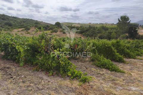 Helårsgrund i Alenquer, Lisbon, Alenquer - € 38.500 | Ref: 057438 - foto 7