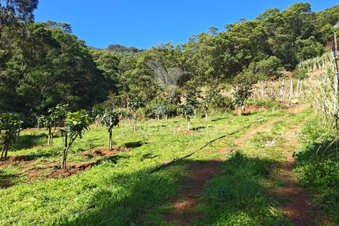 Helårsgrund i Machico, Madeira, Machico - € 400.000 | Ref: 057481 - foto 1