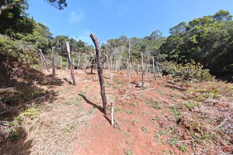 Helårsgrund i Machico, Madeira, Machico - € 400.000 | Ref: 057481 - foto 5