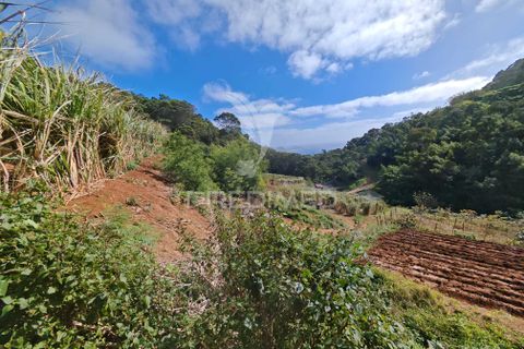 Helårsgrund i Machico, Madeira, Machico - € 400.000 | Ref: 057481 - foto 8