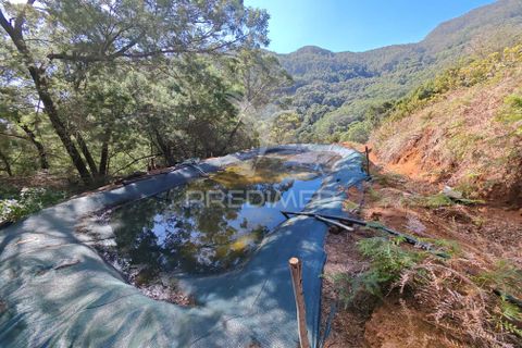 Helårsgrund i Machico, Madeira, Machico - € 400.000 | Ref: 057481 - foto 11