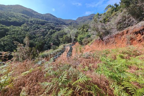 Helårsgrund i Machico, Madeira, Machico - € 400.000 | Ref: 057481 - foto 12