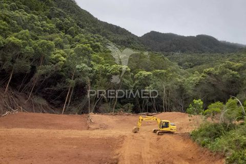 Helårsgrund i Machico, Madeira, Machico - € 400.000 | Ref: 057481 - foto 13