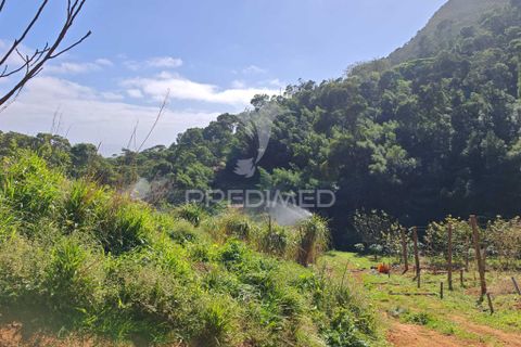 Helårsgrund i Machico, Madeira, Machico - € 400.000 | Ref: 057481 - foto 15