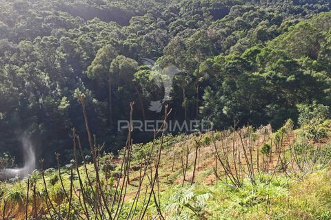 Helårsgrund i Machico, Madeira, Machico - € 400.000 | Ref: 057481 - foto 16