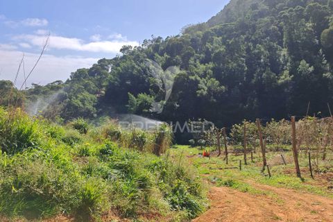 Helårsgrund i Machico, Madeira, Machico - € 400.000 | Ref: 057481 - foto 19