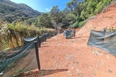Helårsgrund i Machico, Madeira, Machico - € 400.000 | Ref: 057481 - foto 20