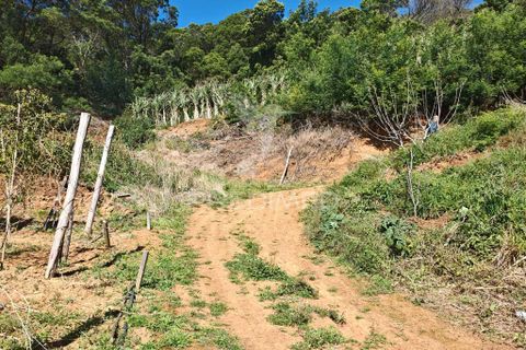 Helårsgrund i Machico, Madeira, Machico - € 400.000 | Ref: 057481 - foto 22