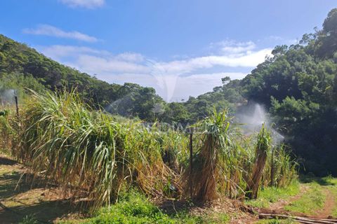 Helårsgrund i Machico, Madeira, Machico - € 400.000 | Ref: 057481 - foto 24