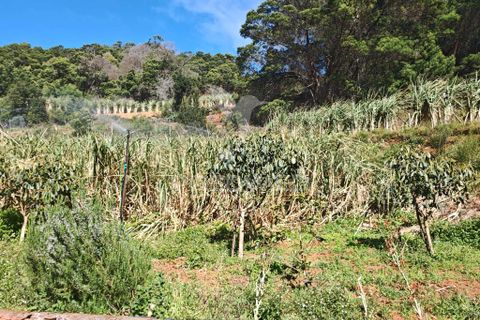 Helårsgrund i Machico, Madeira, Machico - € 400.000 | Ref: 057481 - foto 27