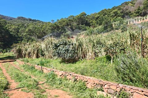 Helårsgrund i Machico, Madeira, Machico - € 400.000 | Ref: 057481 - foto 28