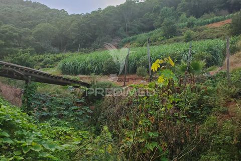Helårsgrund i Machico, Madeira, Machico - € 400.000 | Ref: 057481 - foto 29