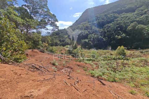 Helårsgrund i Machico, Madeira, Machico - € 400.000 | Ref: 057481 - foto 30