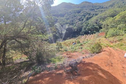 Helårsgrund i Machico, Madeira, Machico - € 400.000 | Ref: 057481 - foto 31