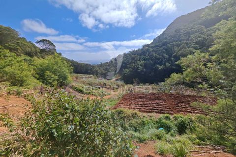 Helårsgrund i Machico, Madeira, Machico - € 400.000 | Ref: 057481 - foto 33