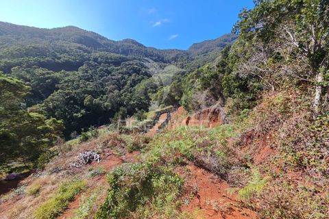 Helårsgrund i Machico, Madeira, Machico - € 400.000 | Ref: 057481 - foto 36