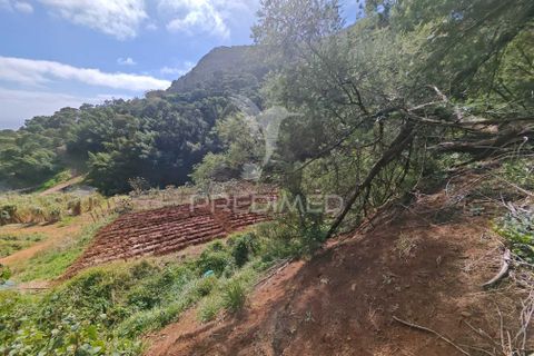 Helårsgrund i Machico, Madeira, Machico - € 400.000 | Ref: 057481 - foto 37