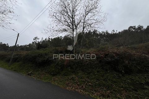 Helårsgrund i Vila Verde, Braga, Vila Verde - € 70.000 | Ref: 057626 - foto 2