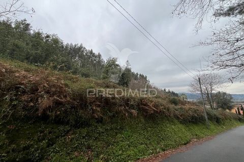 Helårsgrund i Vila Verde, Braga, Vila Verde - € 70.000 | Ref: 057626 - foto 4
