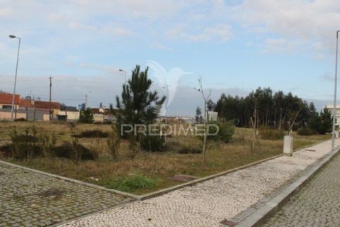 Helårsgrund i Ovar, Aveiro, Ovar - € 133.038 | Ref: 057896 - foto 3