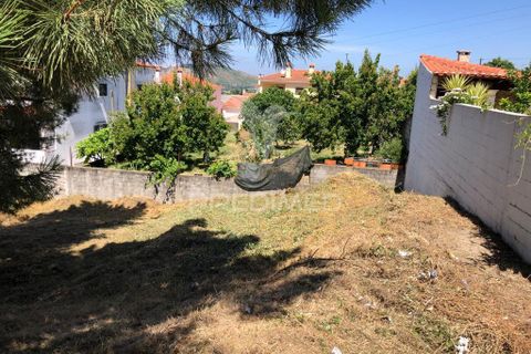 Helårsgrund i Abrantes, Santarem, Abrantes - € 30.000 | Ref: 057929 - foto 1
