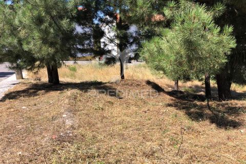 Helårsgrund i Abrantes, Santarem, Abrantes - € 30.000 | Ref: 057929 - foto 2