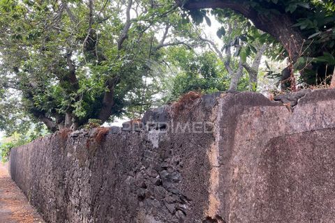 Masia a Calheta, Madeira, Calheta - € 875.000 | Ref: 058010 - foto 4