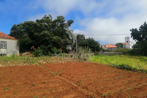 Masia a Calheta, Madeira, Calheta - € 875.000 | Ref: 058010 - foto 5