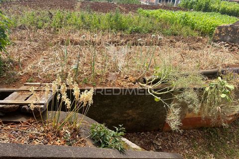 Masia a Calheta, Madeira, Calheta - € 875.000 | Ref: 058010 - foto 7