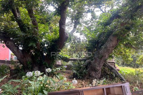 Masia a Calheta, Madeira, Calheta - € 875.000 | Ref: 058010 - foto 11
