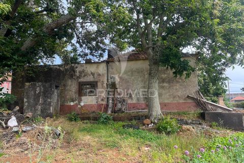 Masia a Calheta, Madeira, Calheta - € 875.000 | Ref: 058010 - foto 12