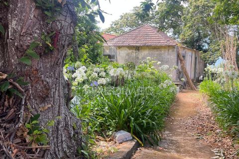 Masia a Calheta, Madeira, Calheta - € 875.000 | Ref: 058010 - foto 14