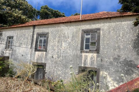 Masia a Calheta, Madeira, Calheta - € 875.000 | Ref: 058010 - foto 15