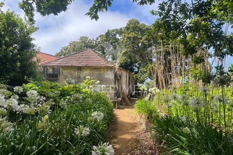 Masia a Calheta, Madeira, Calheta - € 875.000 | Ref: 058010 - foto 16