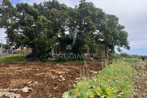 Masia a Calheta, Madeira, Calheta - € 875.000 | Ref: 058010 - foto 18