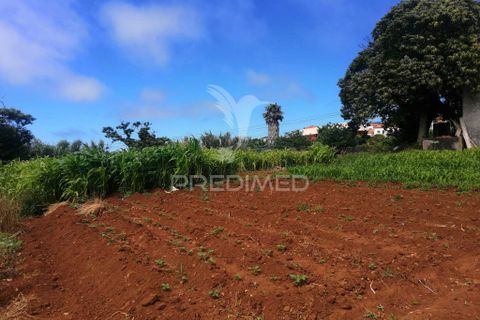 Masia a Calheta, Madeira, Calheta - € 875.000 | Ref: 058010 - foto 19