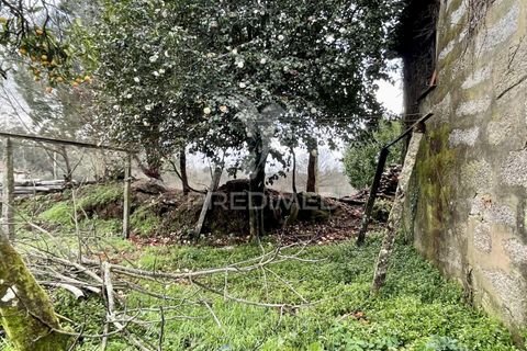 Byhus i Lousada, Porto, Lousada - € 220.000 | Ref: 058051 - foto 8