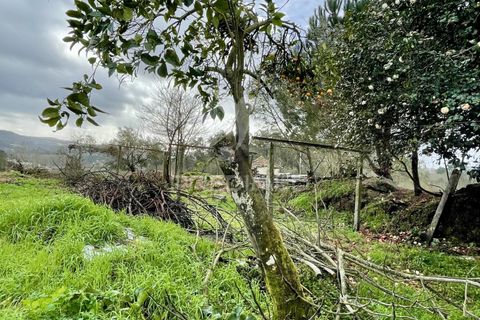 Byhus i Lousada, Porto, Lousada - € 220.000 | Ref: 058051 - foto 10