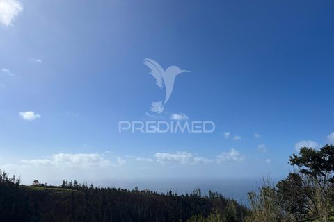 Byhus i Calheta, Madeira, Calheta - € 95.000 | Ref: 058239 - foto 2