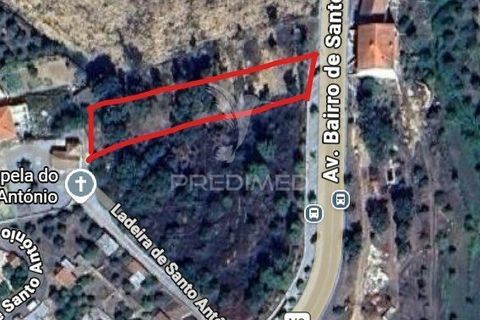Terra a Macao, Santarem, Macao - € 47.000 | Ref: 058249 - foto 2