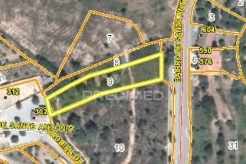 Terra a Macao, Santarem, Macao - € 47.000 | Ref: 058249 - foto 3