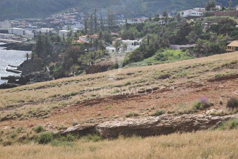 Helårsgrund i Machico, Madeira, Machico - € 290.000 | Ref: 058301 - foto 14
