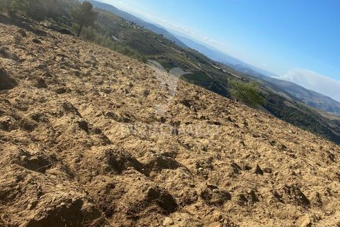 Terra a Penedono, Viseu, Penedono - € 11.000 | Ref: 058342 - foto 5