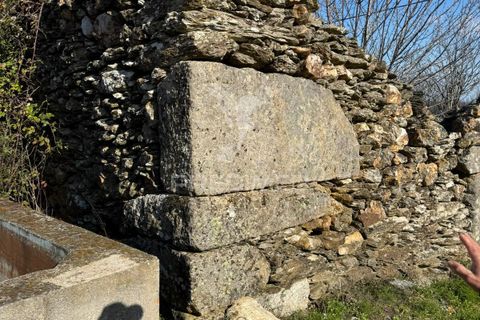 Terra a Penedono, Viseu, Penedono - € 11.000 | Ref: 058342 - foto 8